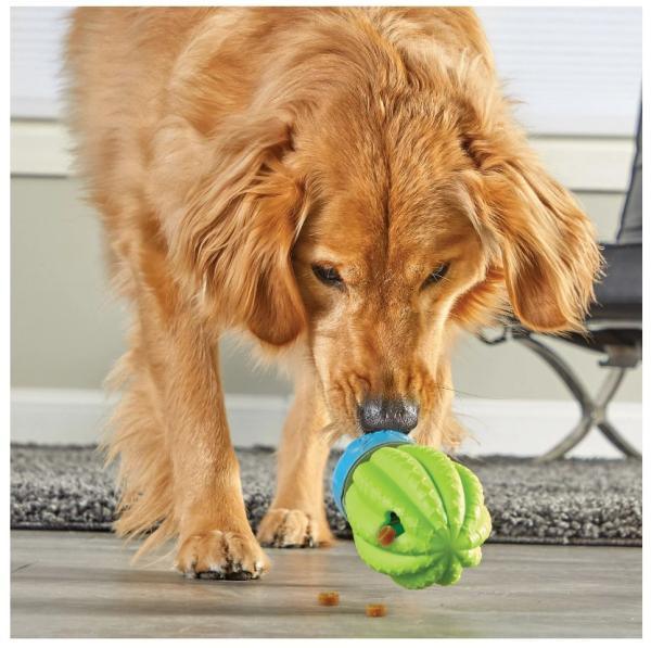 Brightkins Voerspeeltje Cactus - Nena's Pets