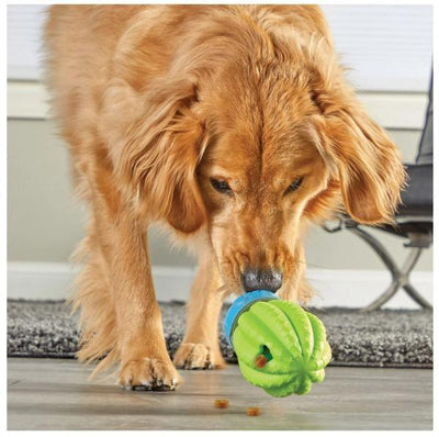 Brightkins Voerspeeltje Cactus - Nena's Pets