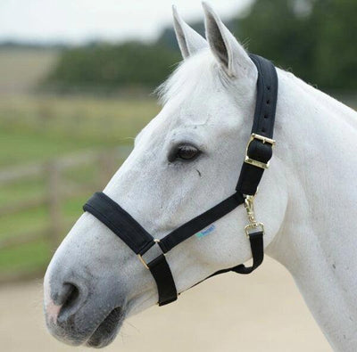 Bucas Comfort halster - Nena's Pets