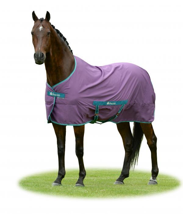 Bucas Freedom Twill sheet zomerdeken violet/green - Nena's Pets