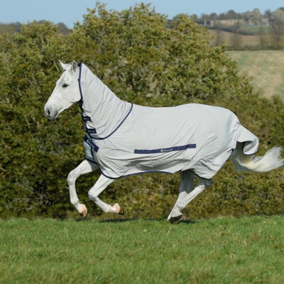 Bucas Sweet-Itch - Nena's Pets