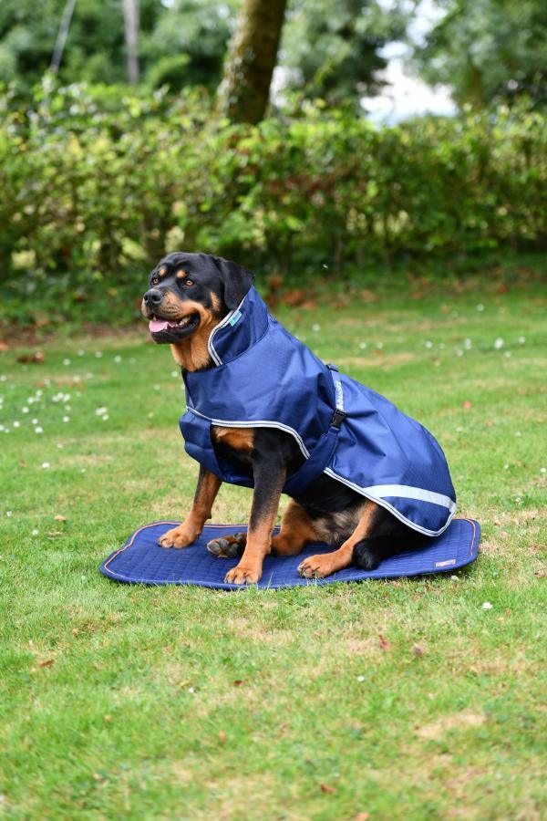 Bucas Therapy dog bed - Nena's Pets