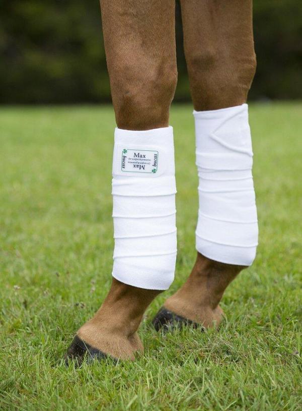 Bucas freedom bandage set - Nena's Pets