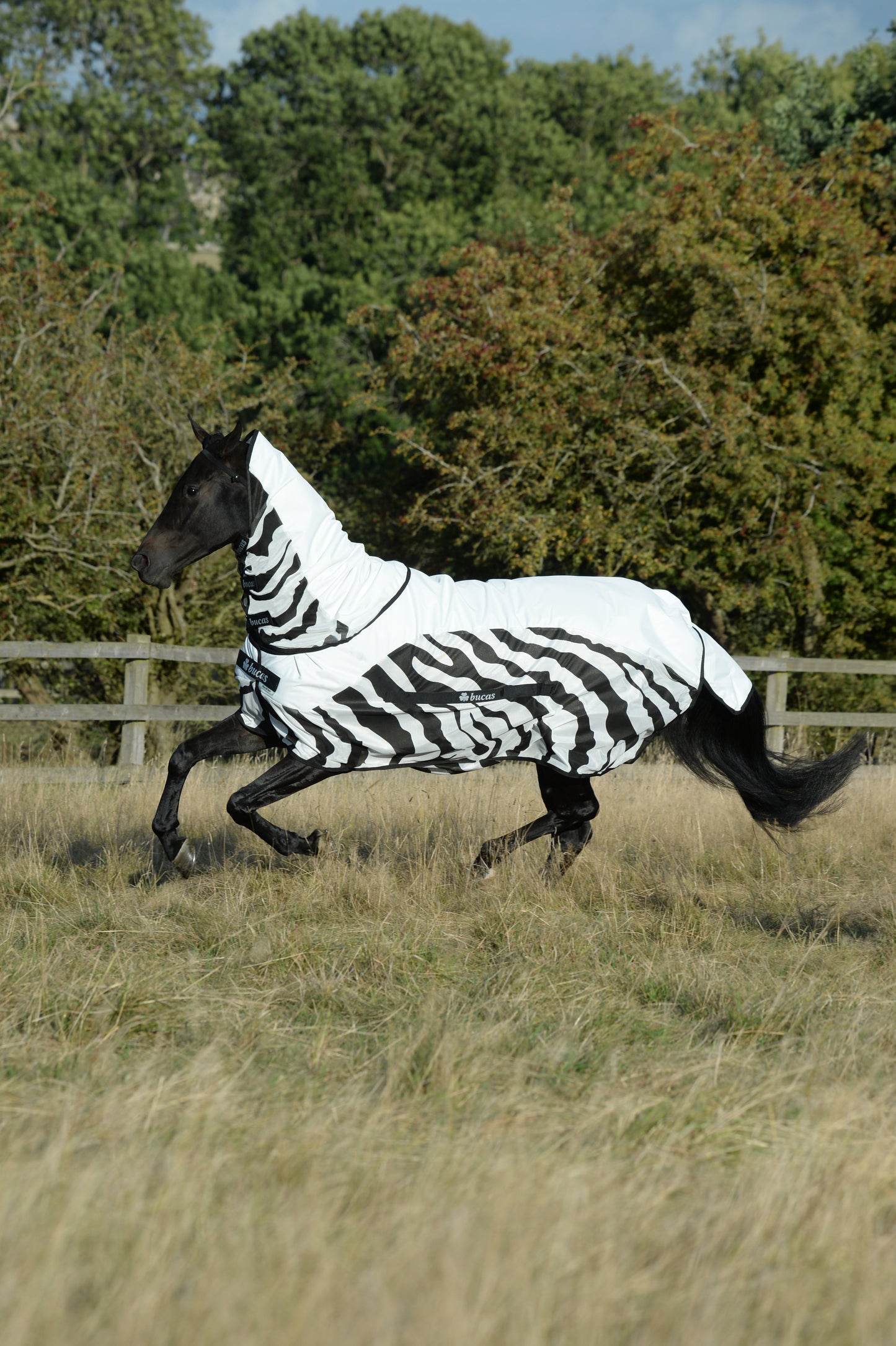 Buzz-off Rain Zebra & Neck