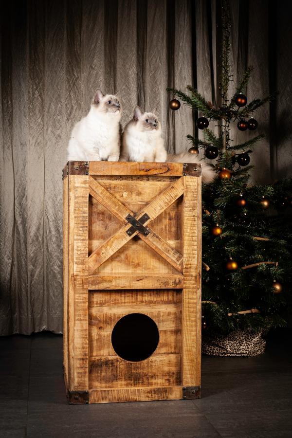Cat tower two storeys + accessories - Nena's Pets