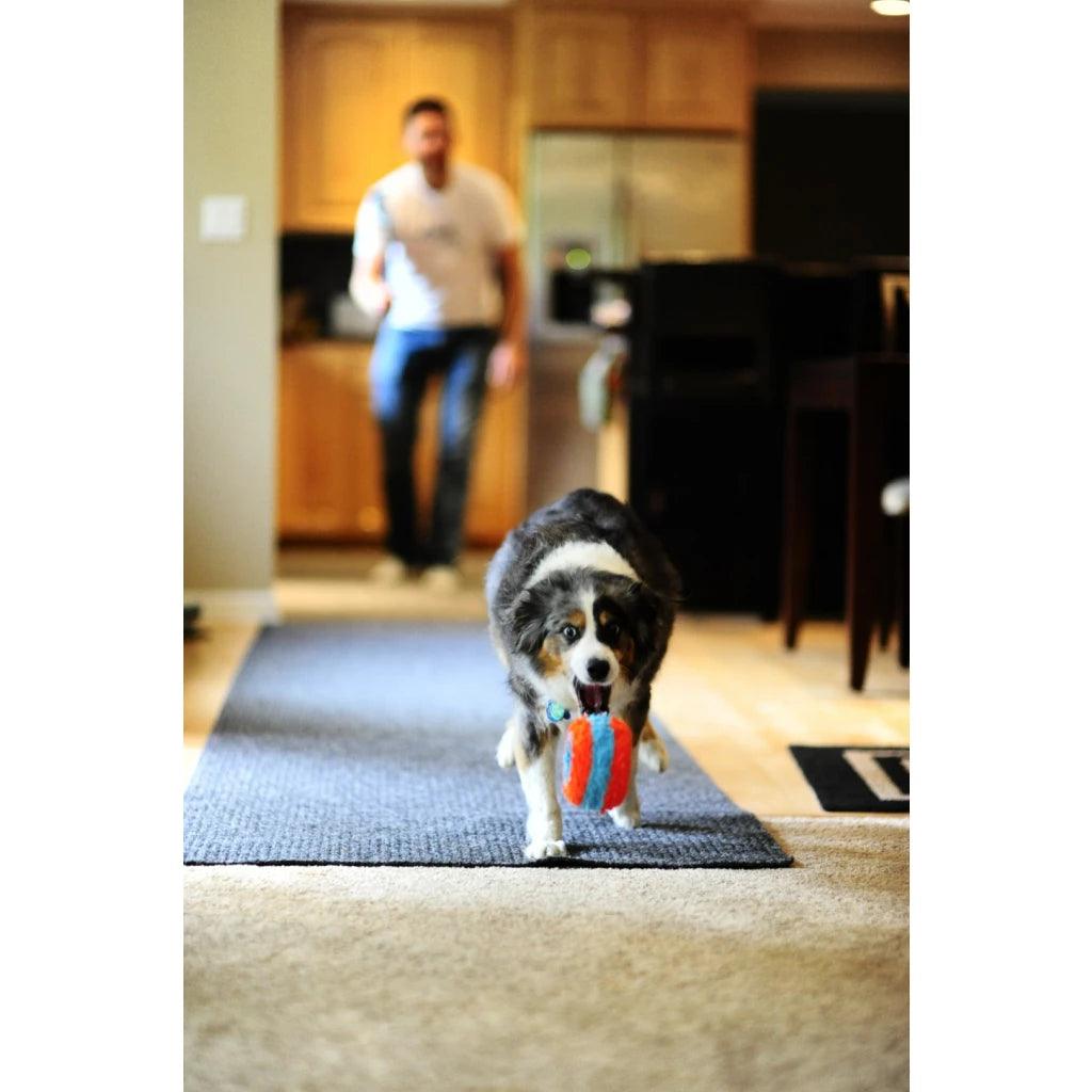 Chuckit Indoor Roller - Nena's Pets