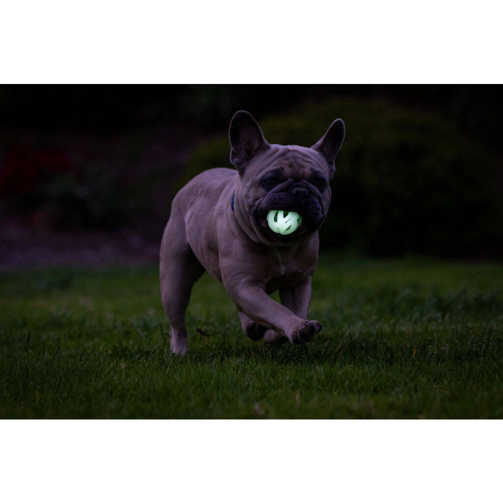 Chuckit Max Glow Air Fetch bal