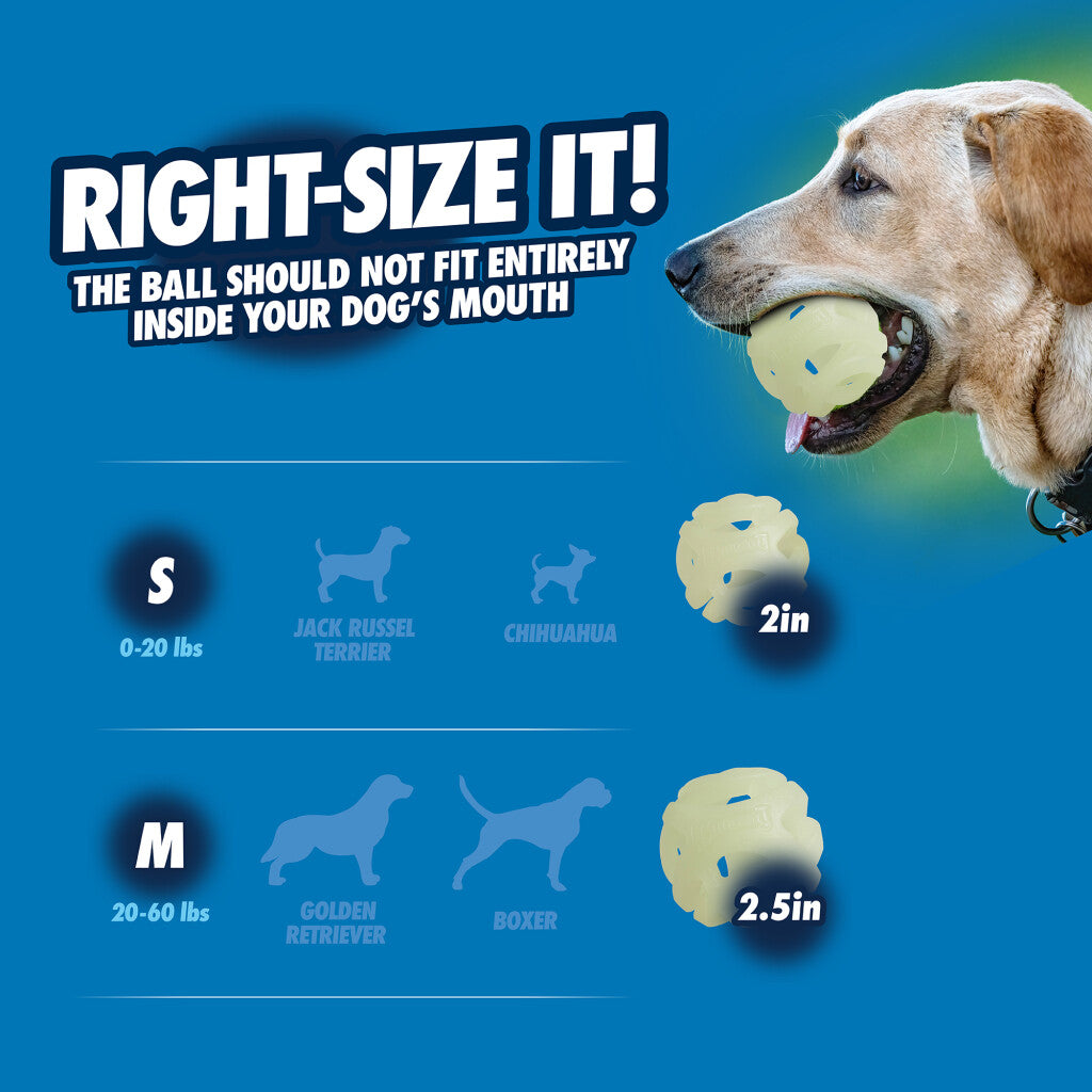 Chuckit Max Glow Air Fetch bal