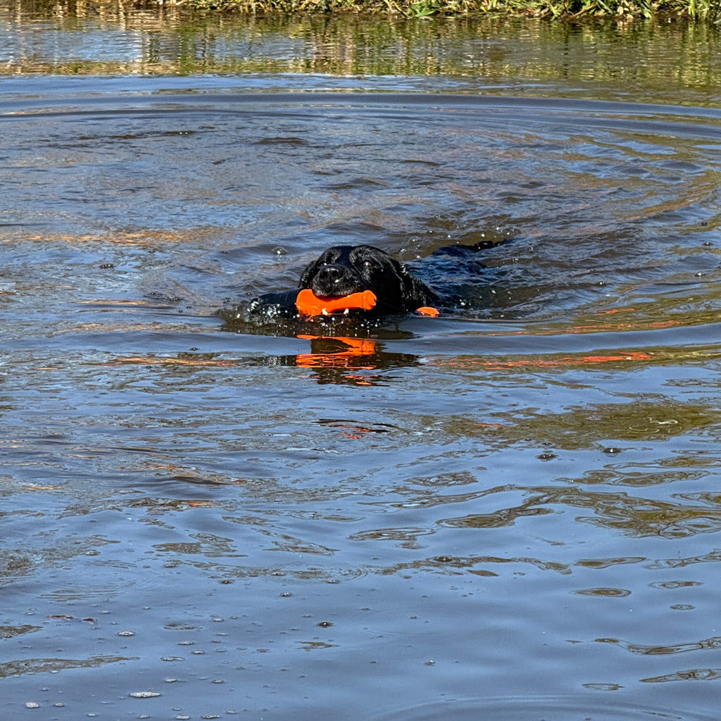Dog Comets Bobber - drijvend speelgoed