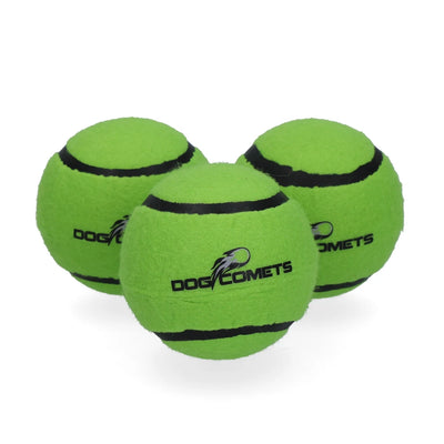 Dog Comets Neutron Star Tennisbal Met Pieper
