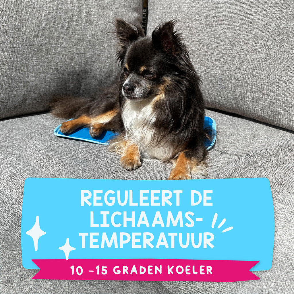 Coolpets Premium Solid gel koelmat