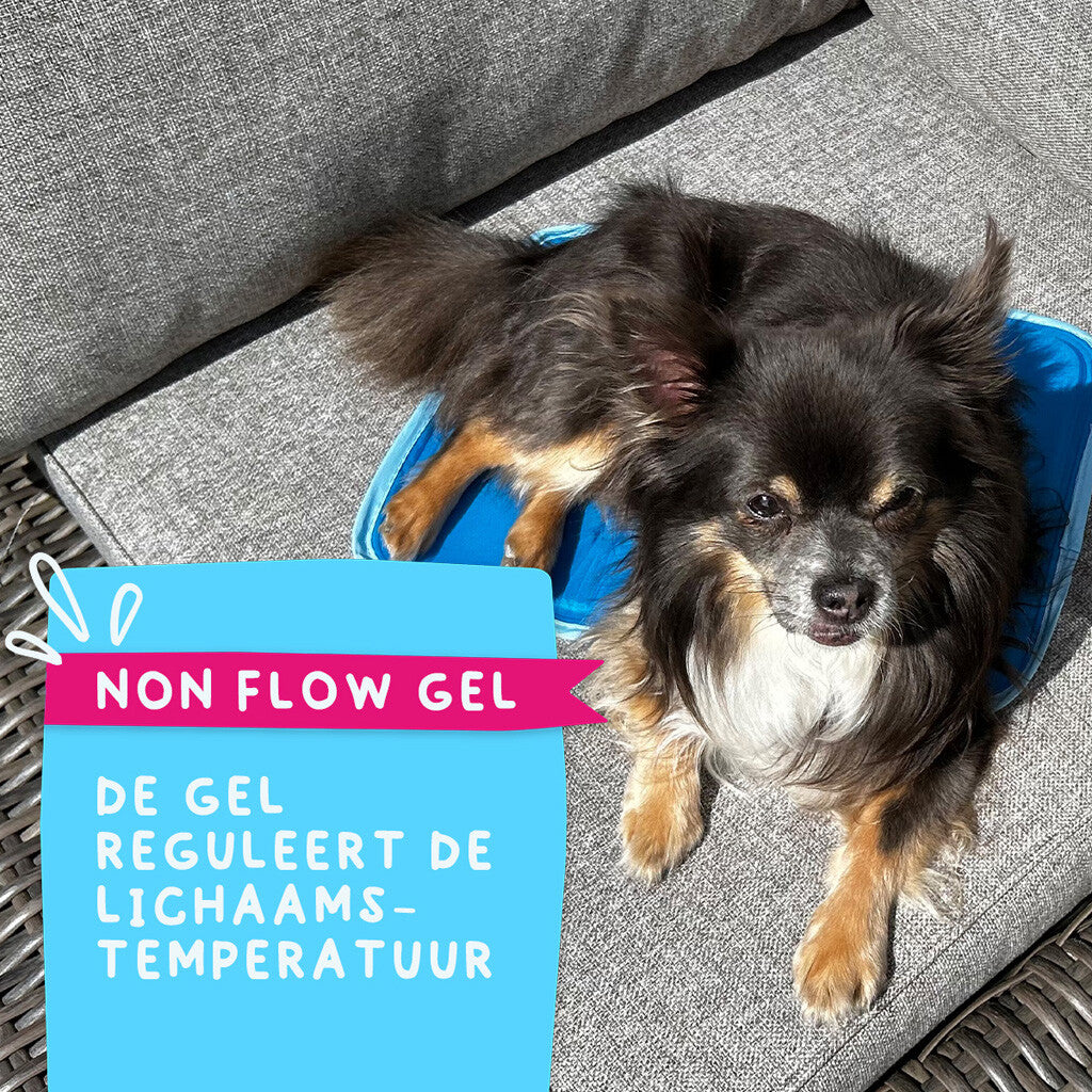 Coolpets Premium Solid gel koelmat
