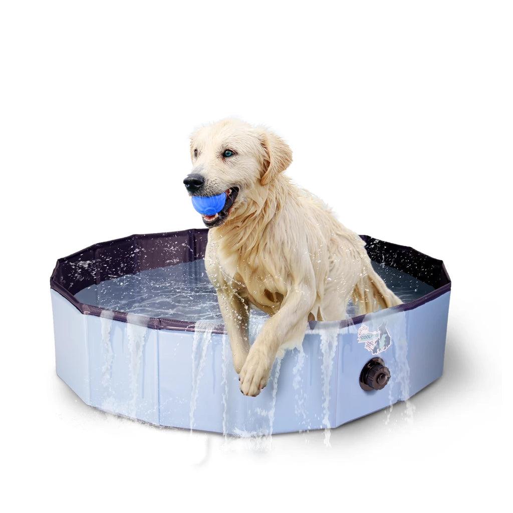 Coolpets Zwembad - Nena's Pets