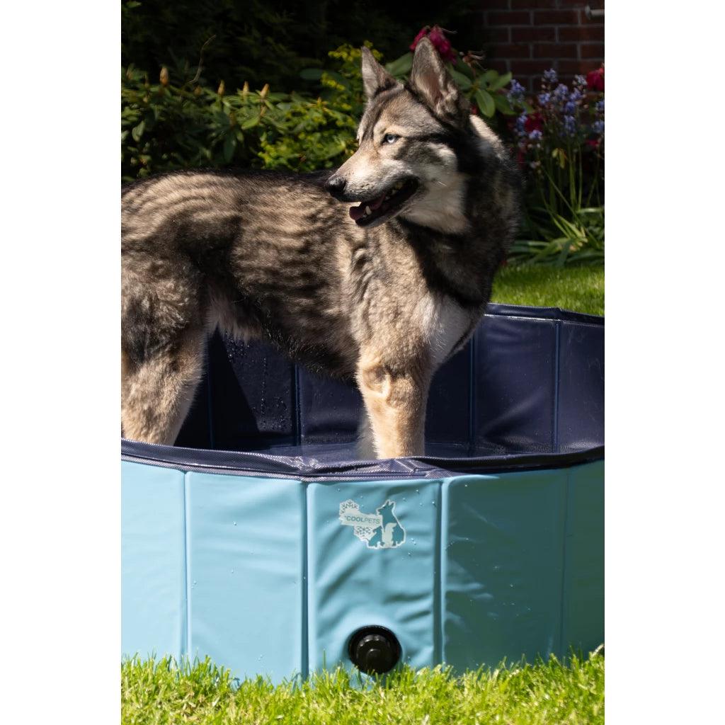 Coolpets Zwembad - Nena's Pets