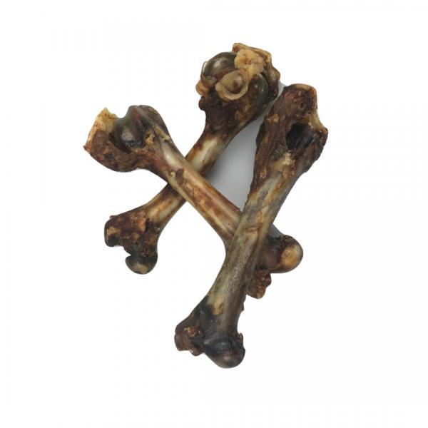 Carnis Lamsbot - Nena's Pets