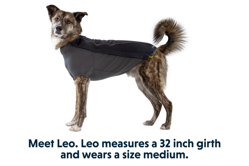 Cloudchaser Softshell Jacket - Nena's Pets