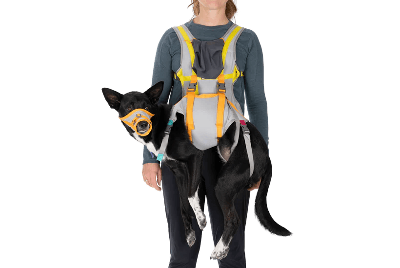 Ruffwear BackTrak™ Dog Evacuation Kit - Nena's Pets