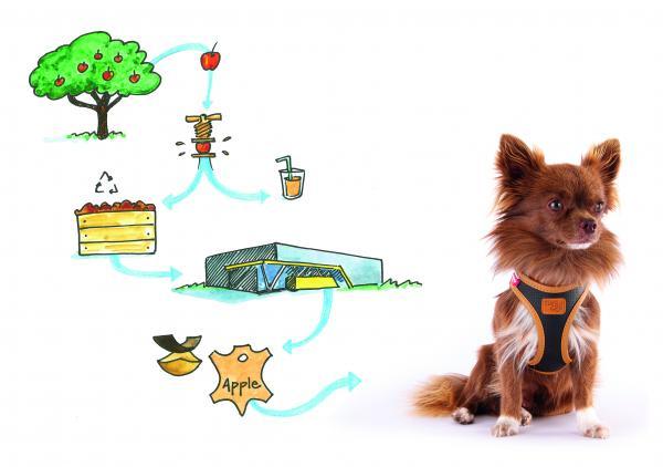 Curli Vegan appel-leder harnas - Nena's Pets
