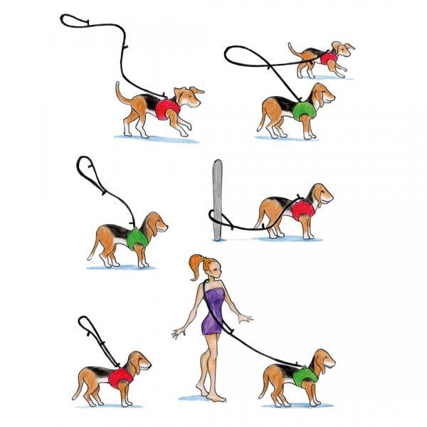 Curli aanpasbare looplijn nylon - Nena's Pets