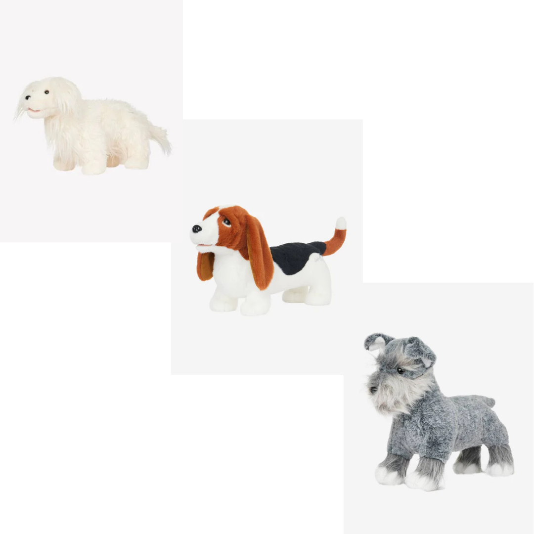 Toy Puppy's verschillende soorten