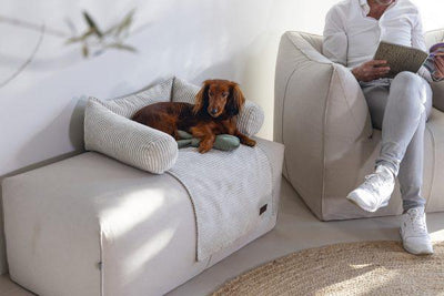 Designed by Lotte Bankkussen Ribbed - Nena's Pets