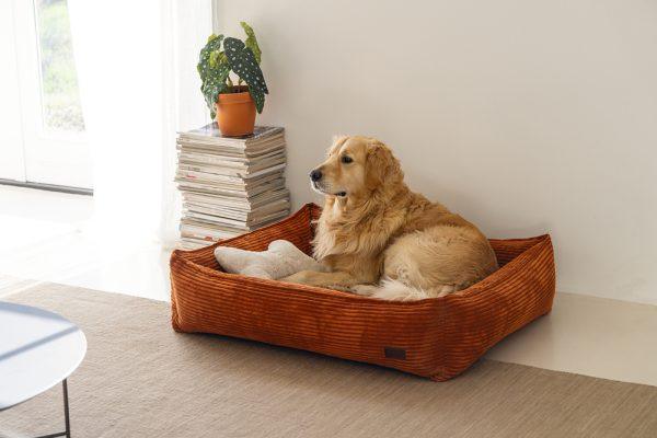 Designed by Lotte Ribbed - Hondenmand - Nena's Pets