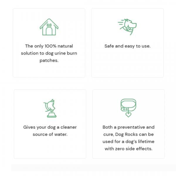 Dog rocks - geen gele plekken in het gras - Nena's Pets