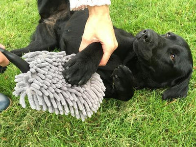 Doggy dry paw cleaner - Nena's Pets