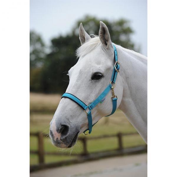 Bucas Dublin Halster - Nena's Pets