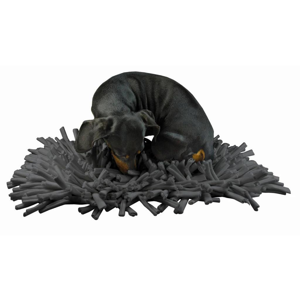 Eat Slow Live Longer Play Mat - Nena's Pets