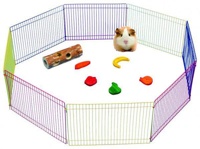 Pawise speelgebied voor knaagdieren - Nena's Pets