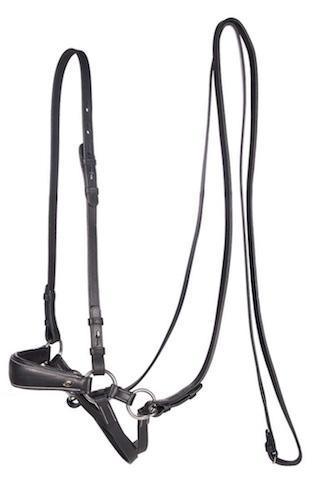 F.R.A lami bitloos hoofdstel - Nena's Pets