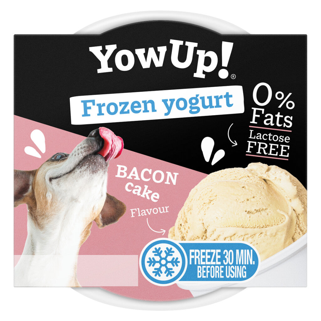 YowUp Ice Cream Yoghurt