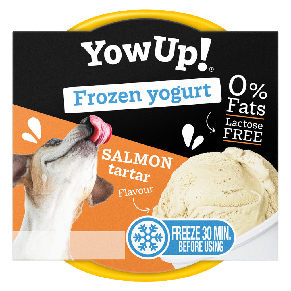 YowUp Ice Cream Yoghurt