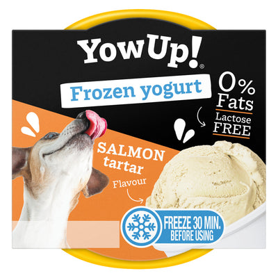 YowUp Ice Cream Yoghurt