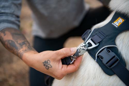 Ruffwear Front Range Harness - Nena's Pets