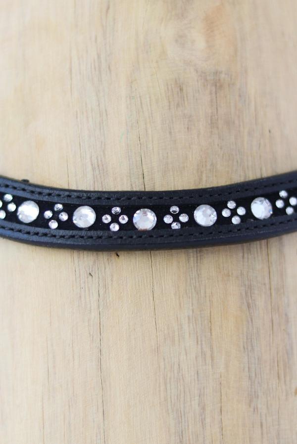 HB Frontriem For Ever - Nena's Pets