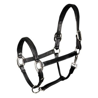 Harry's Horse halster leder padded - Nena's Pets