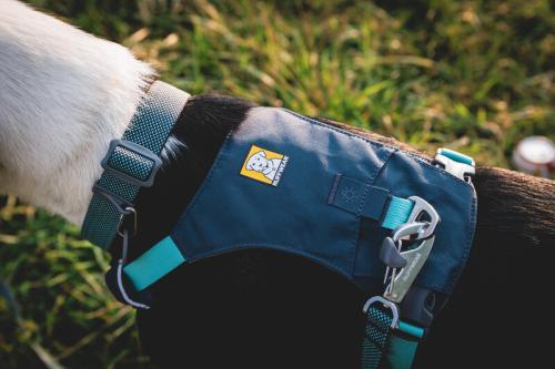 Ruffwear Hi & Light Harness - Nena's Pets