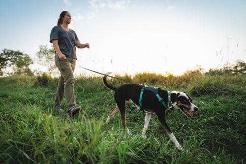 Ruffwear Hi & Light Harness - Nena's Pets