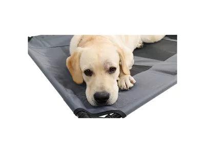 M-Pets verhoogd hondenbed - Nena's Pets