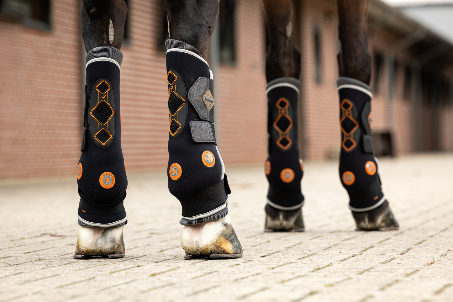 LeMieux Conductive Magnotherapy Boots