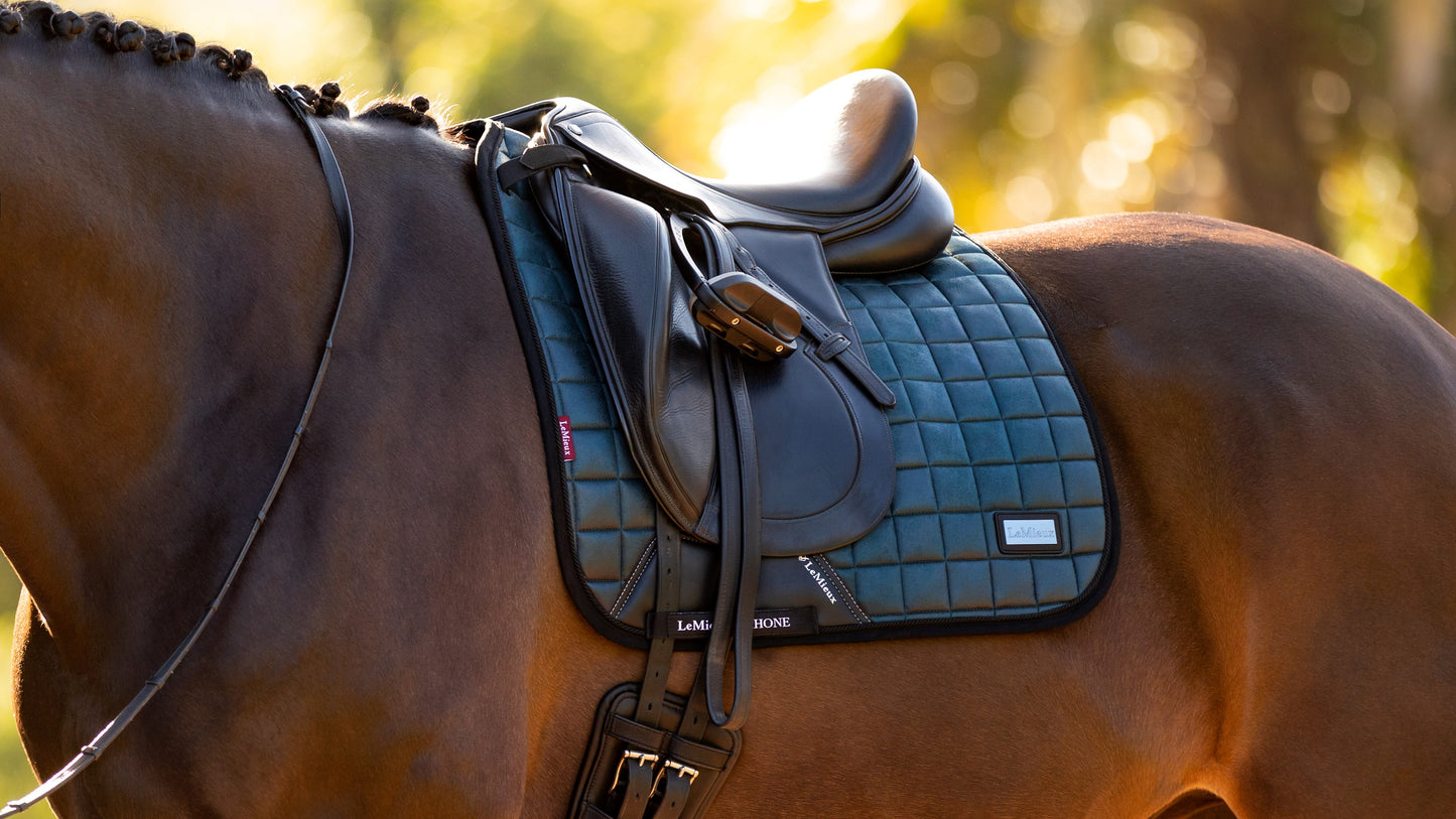 Lemieux rhone dressage square