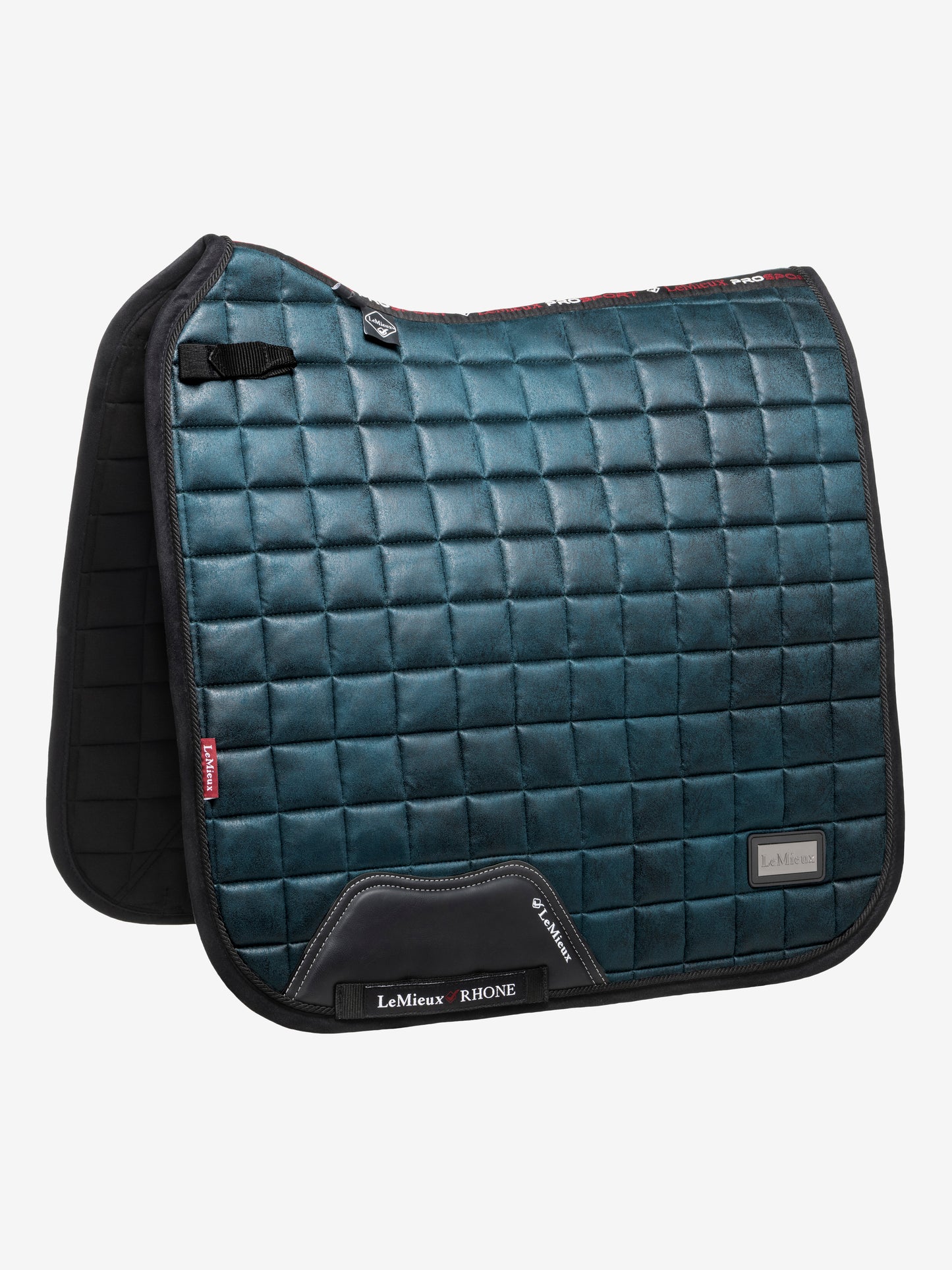 Lemieux rhone dressage square