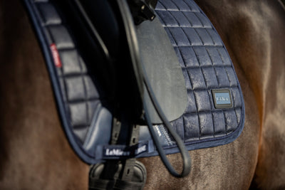 Lemieux rhone dressage square