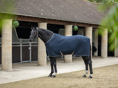 Kudos 3D Mesh Travel Rug Navy - Nena's Pets