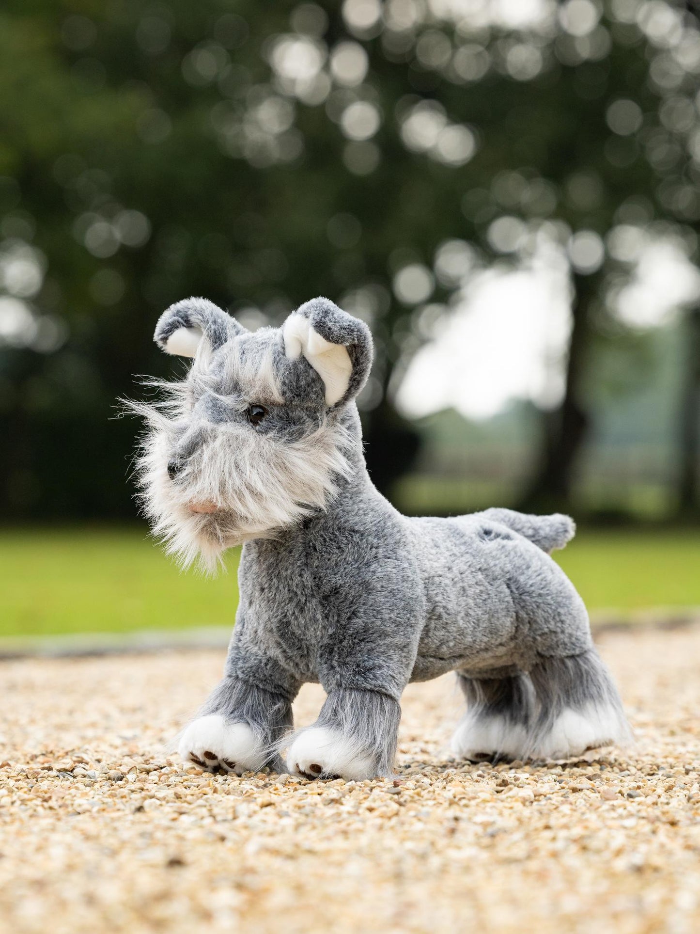 Toy Puppy's verschillende soorten - Nena's Pets