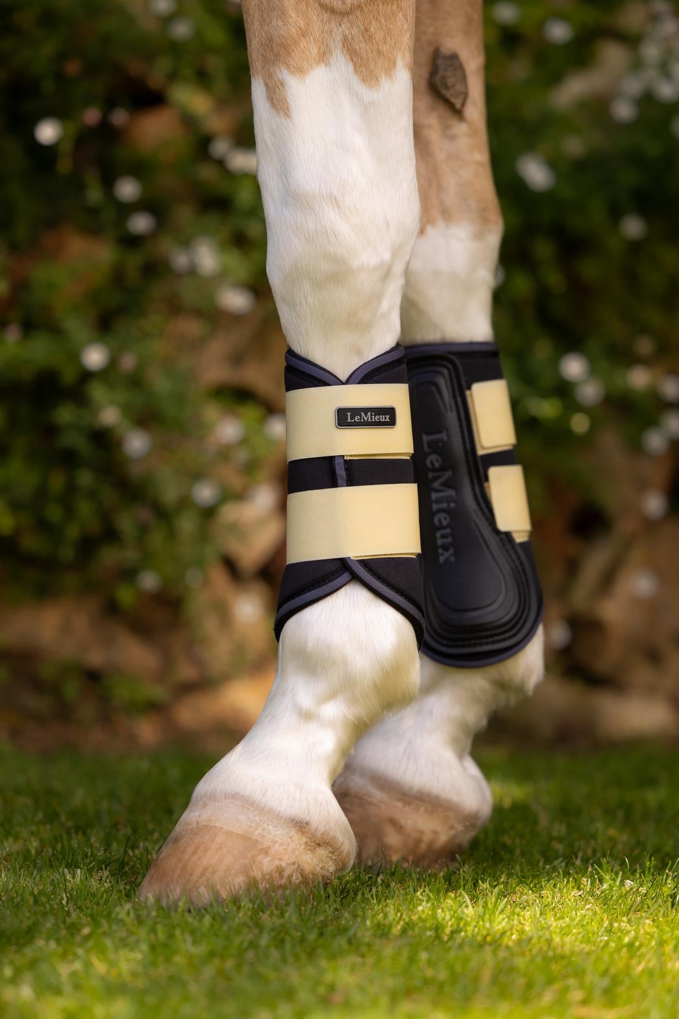 LeMieux Grafter Brushing boots