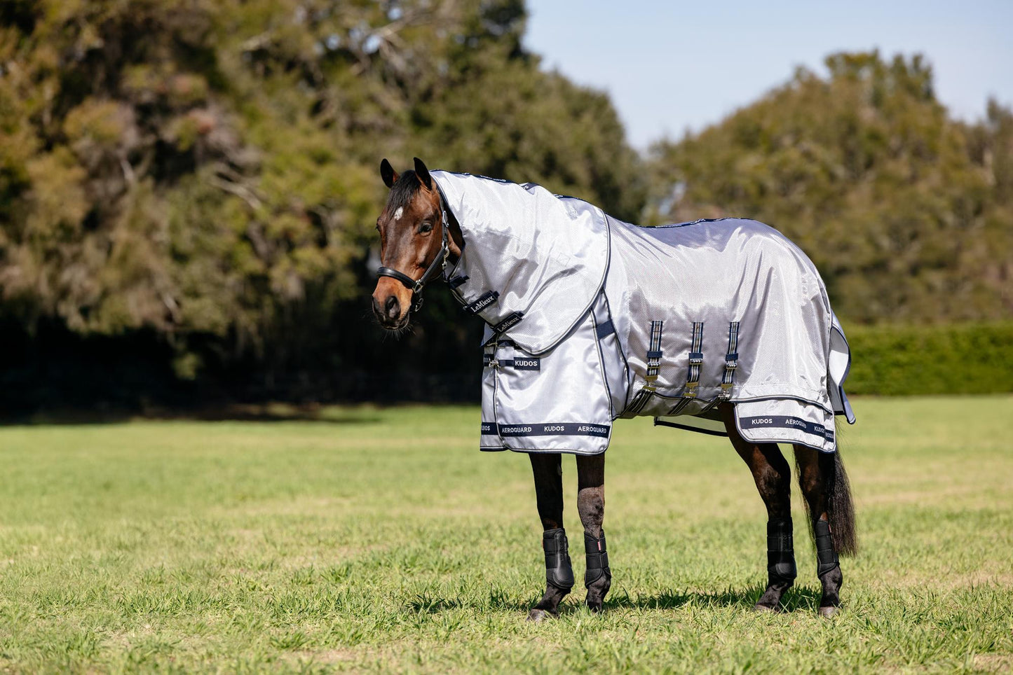 Lemieux Kudos AeroGuard Fly rug '25SS
