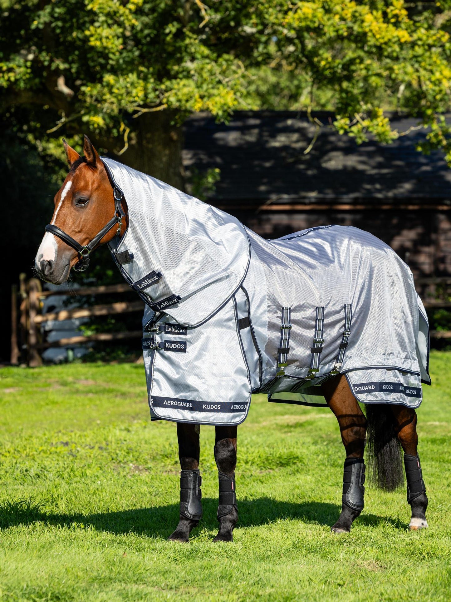 Lemieux Kudos AeroGuard Fly rug '25SS